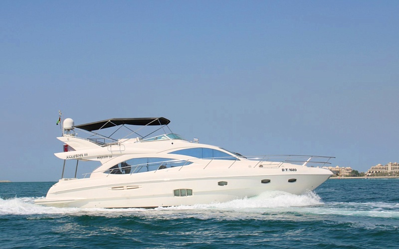 Majesty 56